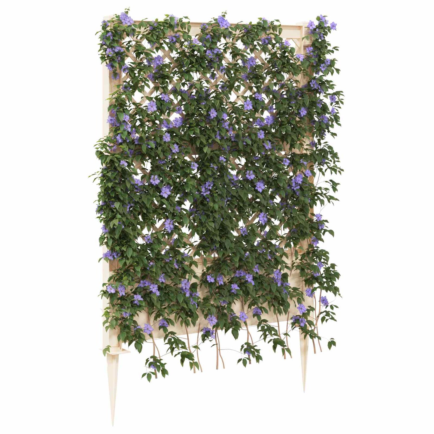 Trellis mit Spike PP Weiß