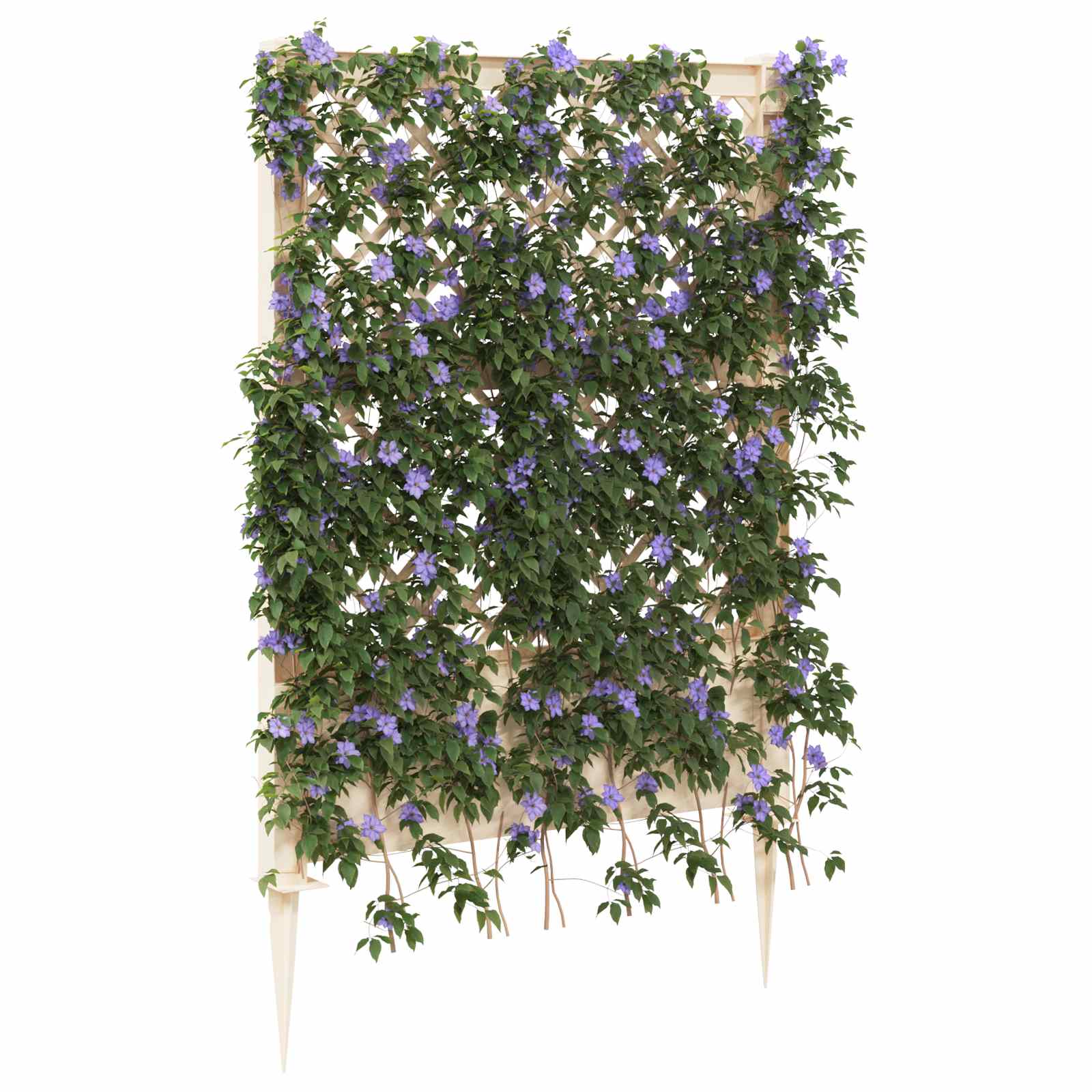 Trellis mit Spike PP Weiß