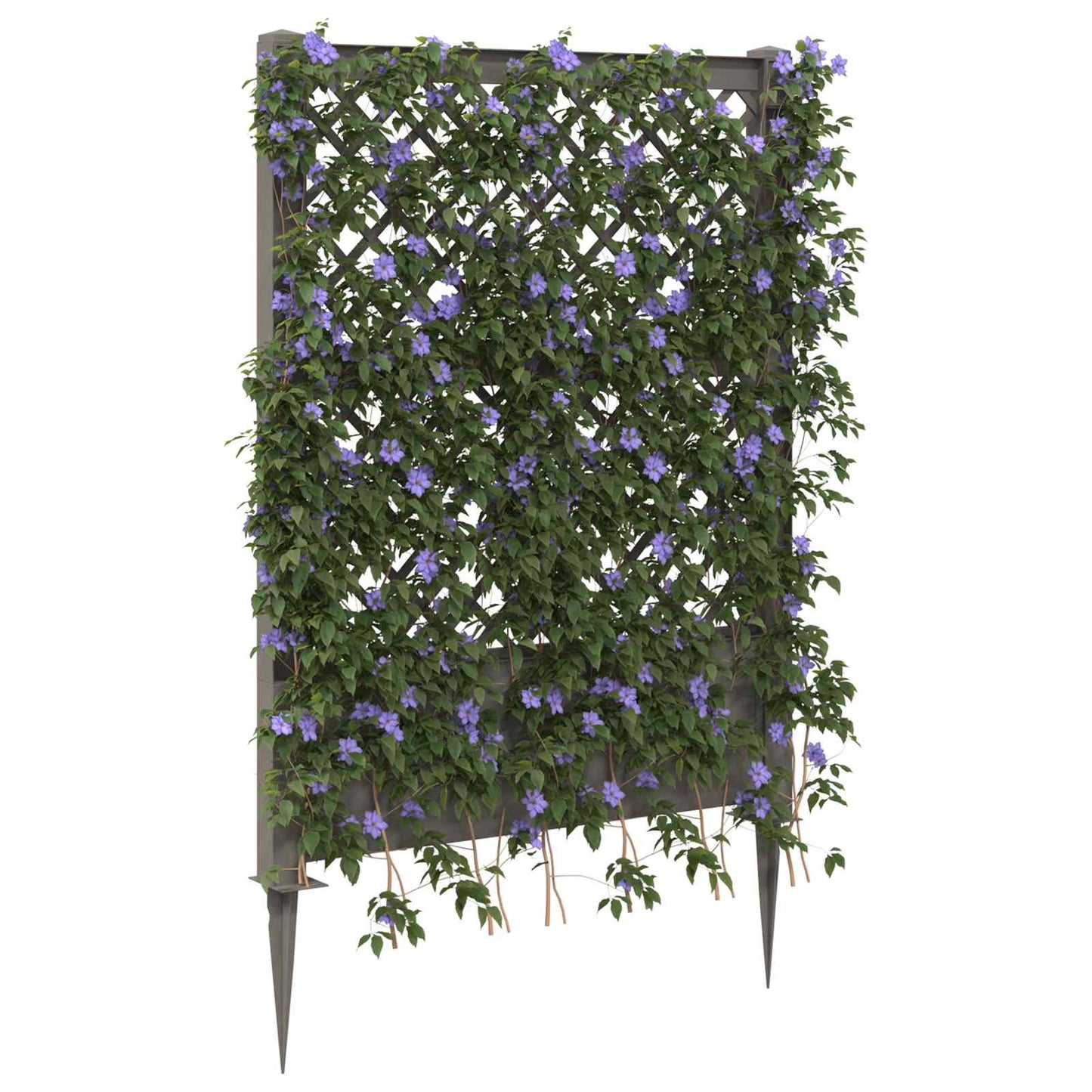 Trellis mit Spike PP Grau