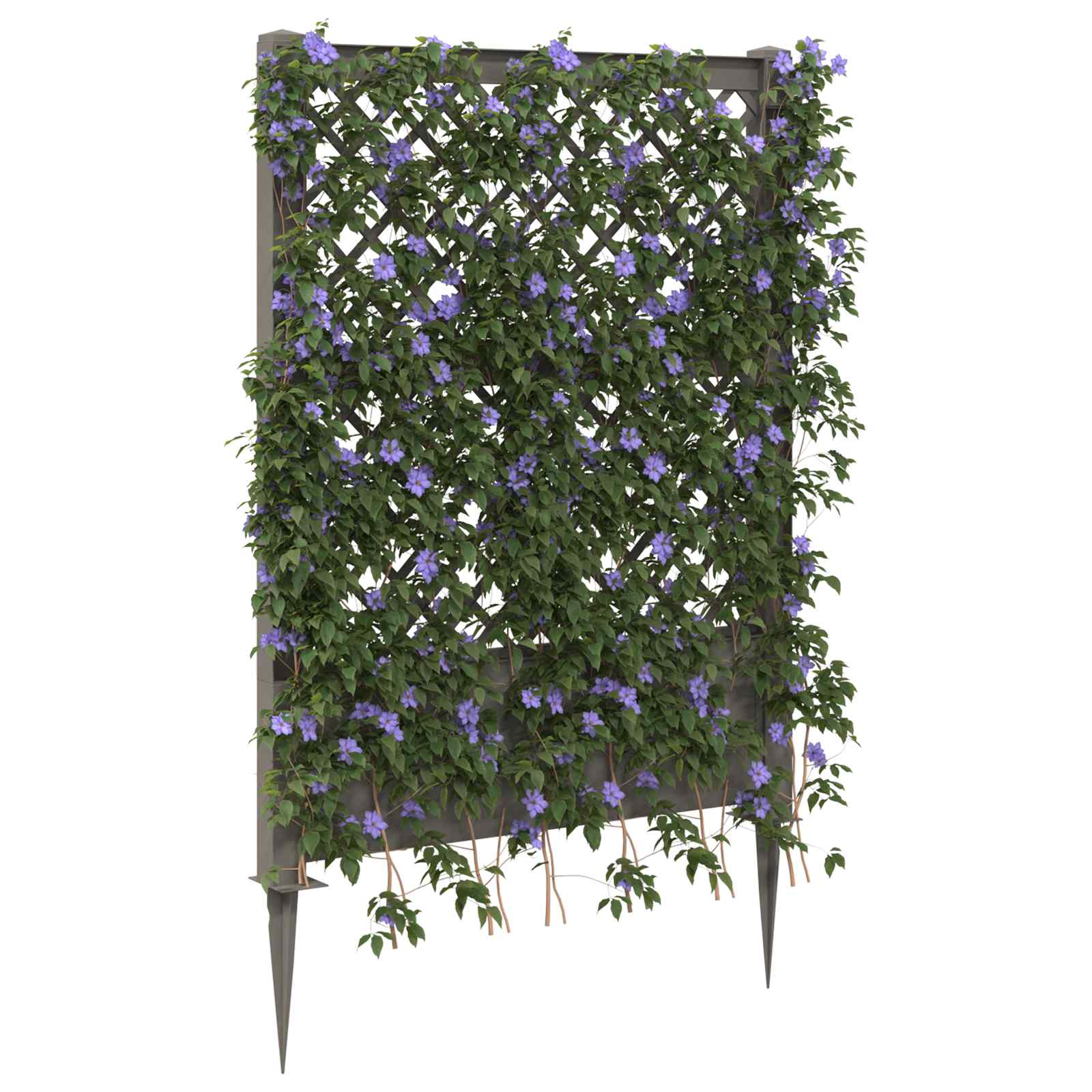 Trellis mit Spike PP Grau