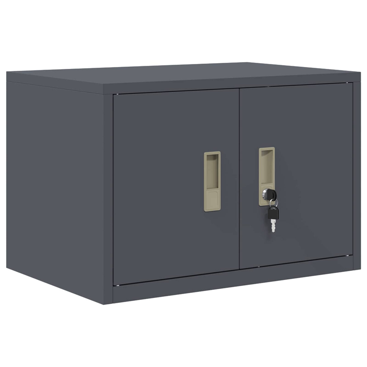 Aufbewahrungsschrank 2 stk. Anthrazit 60 x 40 x 180 cm Stahl