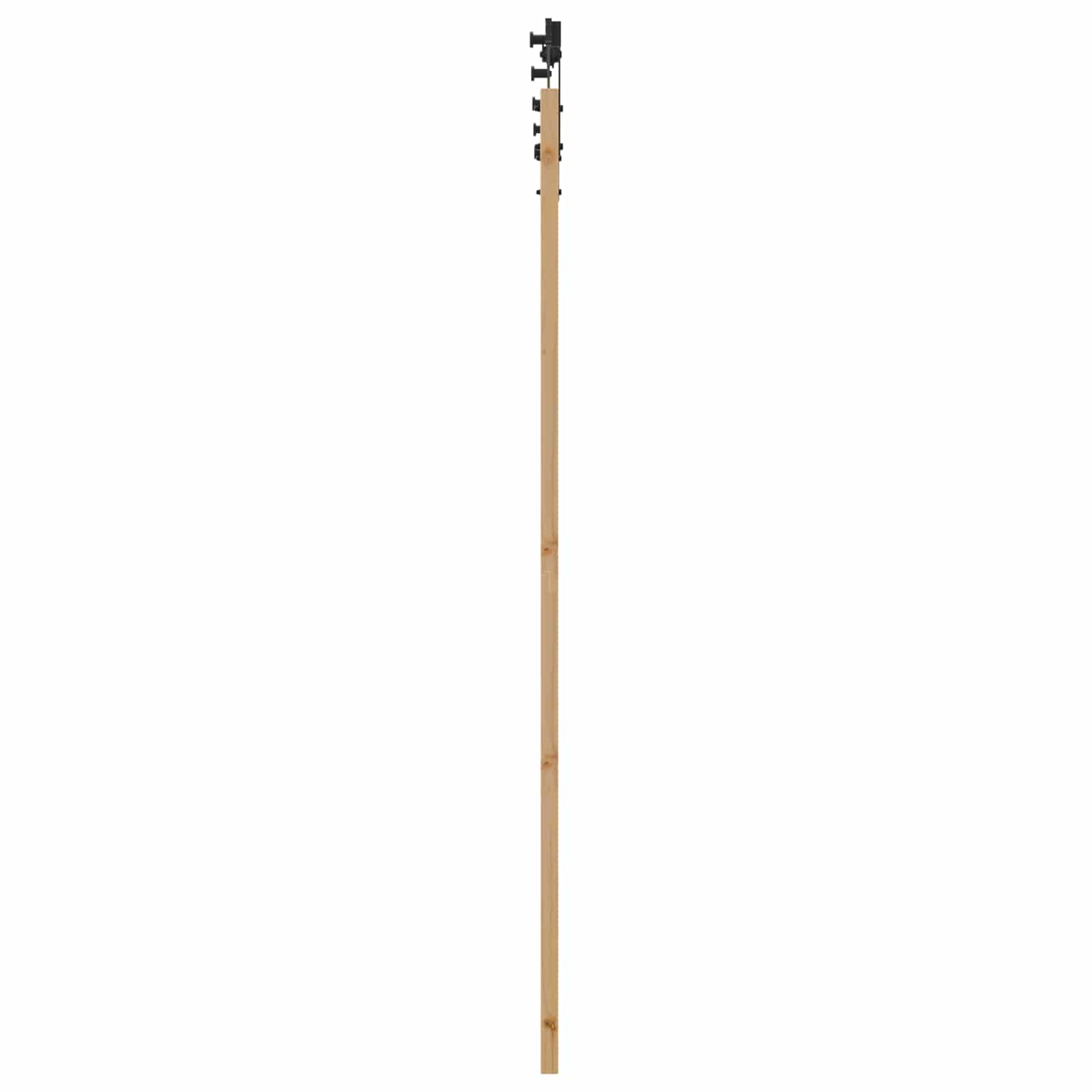 Schiebetür Natürlich und Schwarz 86 x 211 cm