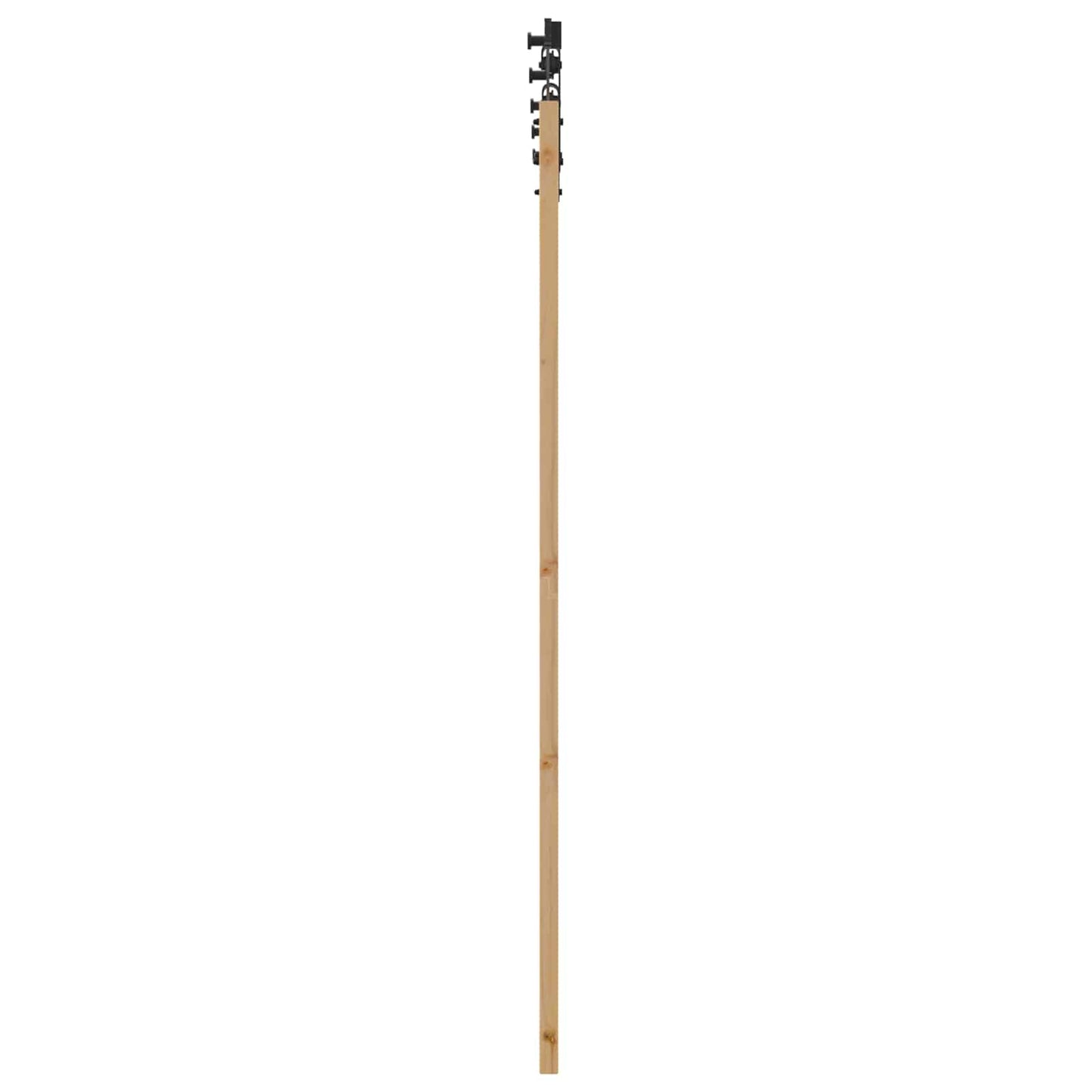 Schiebetür Natur 61 x 198,5 cm Massives Kiefernholz