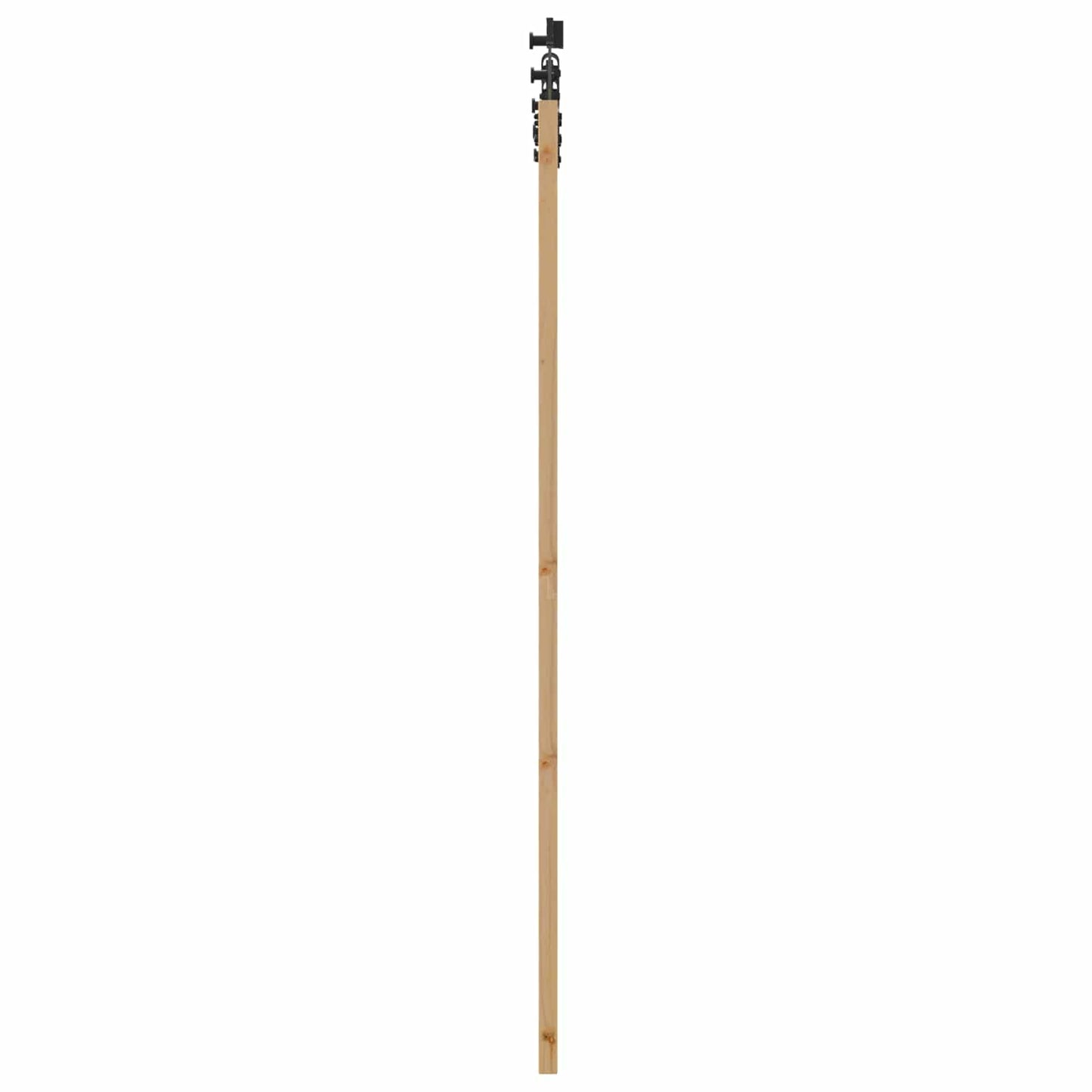 Schiebetür Natürlich und Schwarz 61 x 198,5 cm