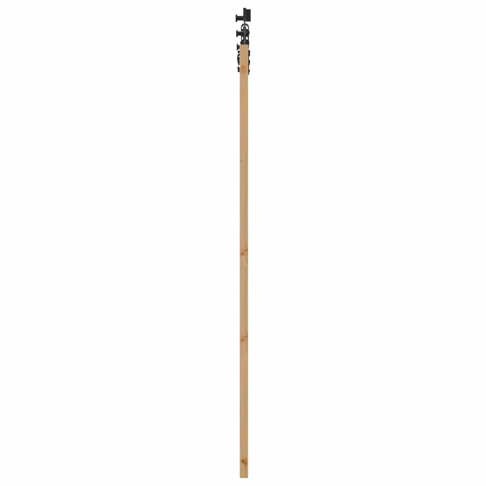 Schiebetür Natürlich und Schwarz 61 x 198,5 cm