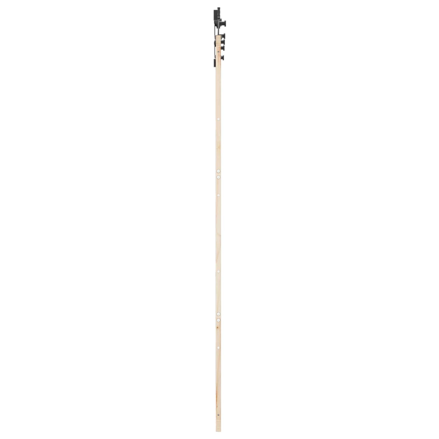 Schiebetür 100 x 208 cm Massives Kiefernholz Natur