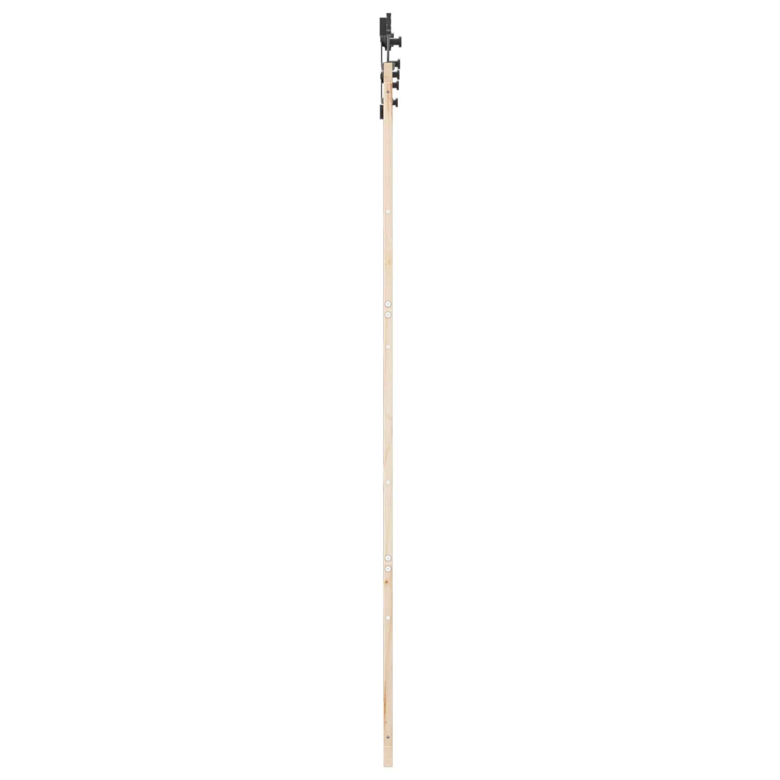 Schiebetür 100 x 208 cm Massives Kiefernholz Natur