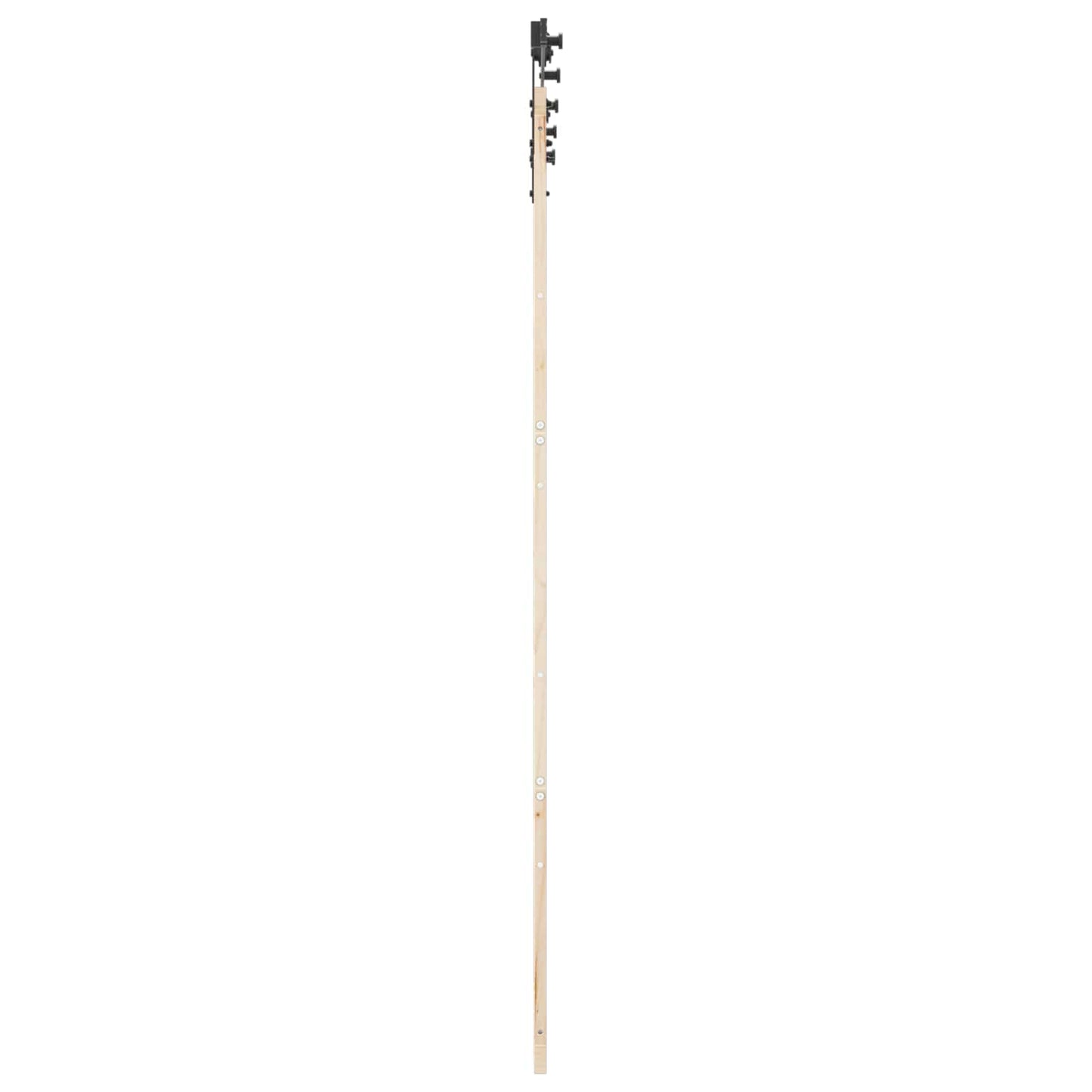 Schiebetür 100 x 208 cm Massives Kiefernholz Natur