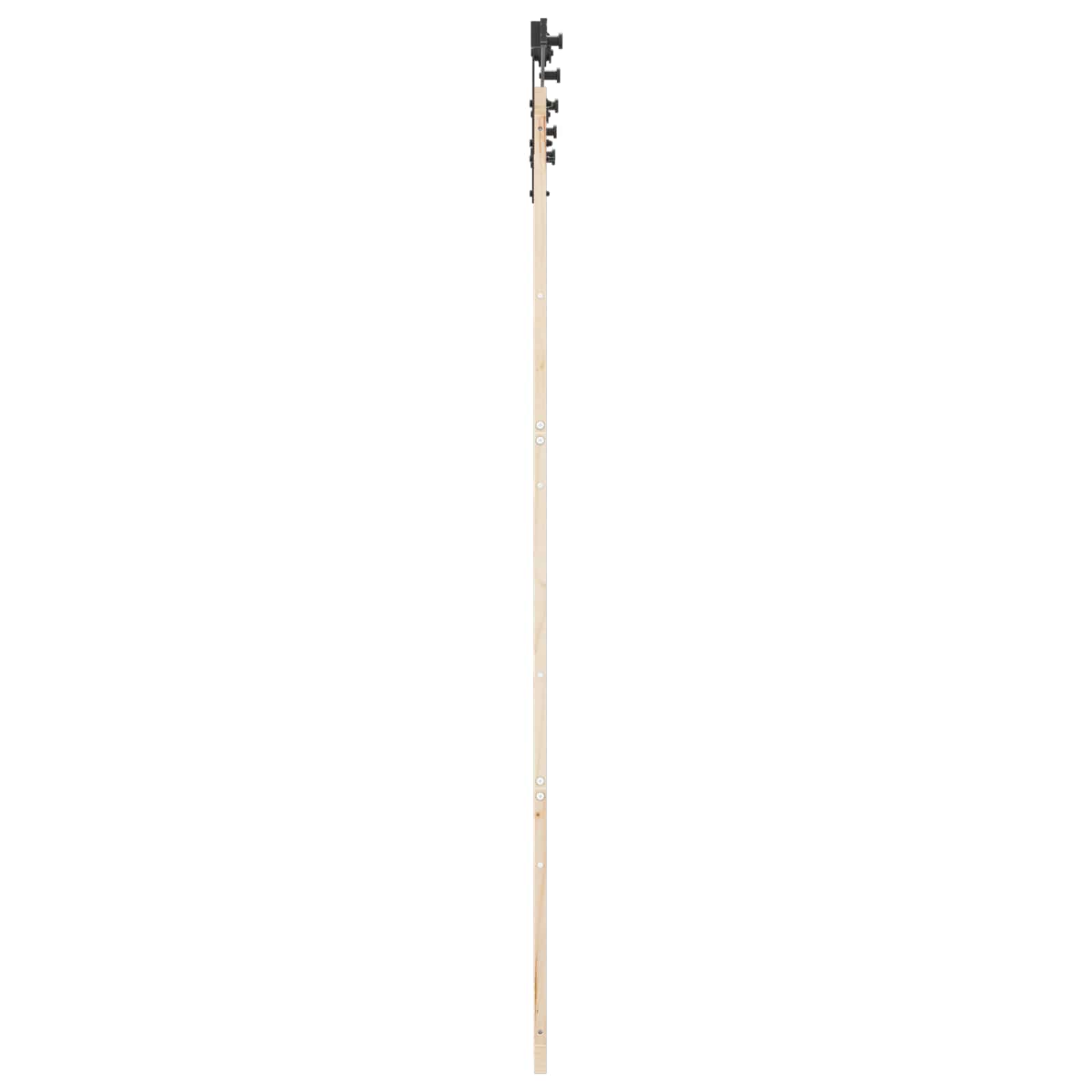 Schiebetür 100 x 208 cm Massives Kiefernholz Natur
