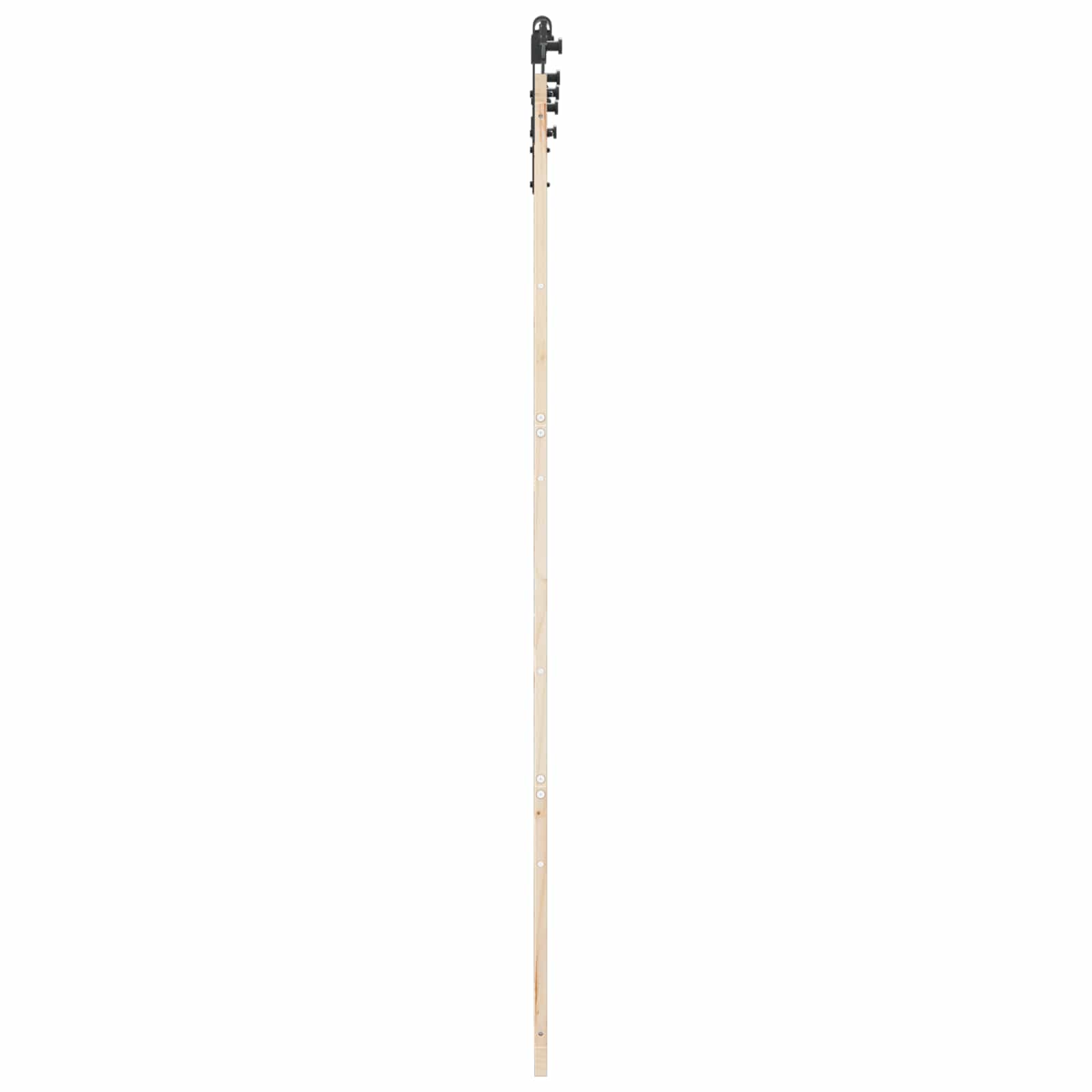 Schiebetür Natur 80 x 208 cm Massives Kiefernholz
