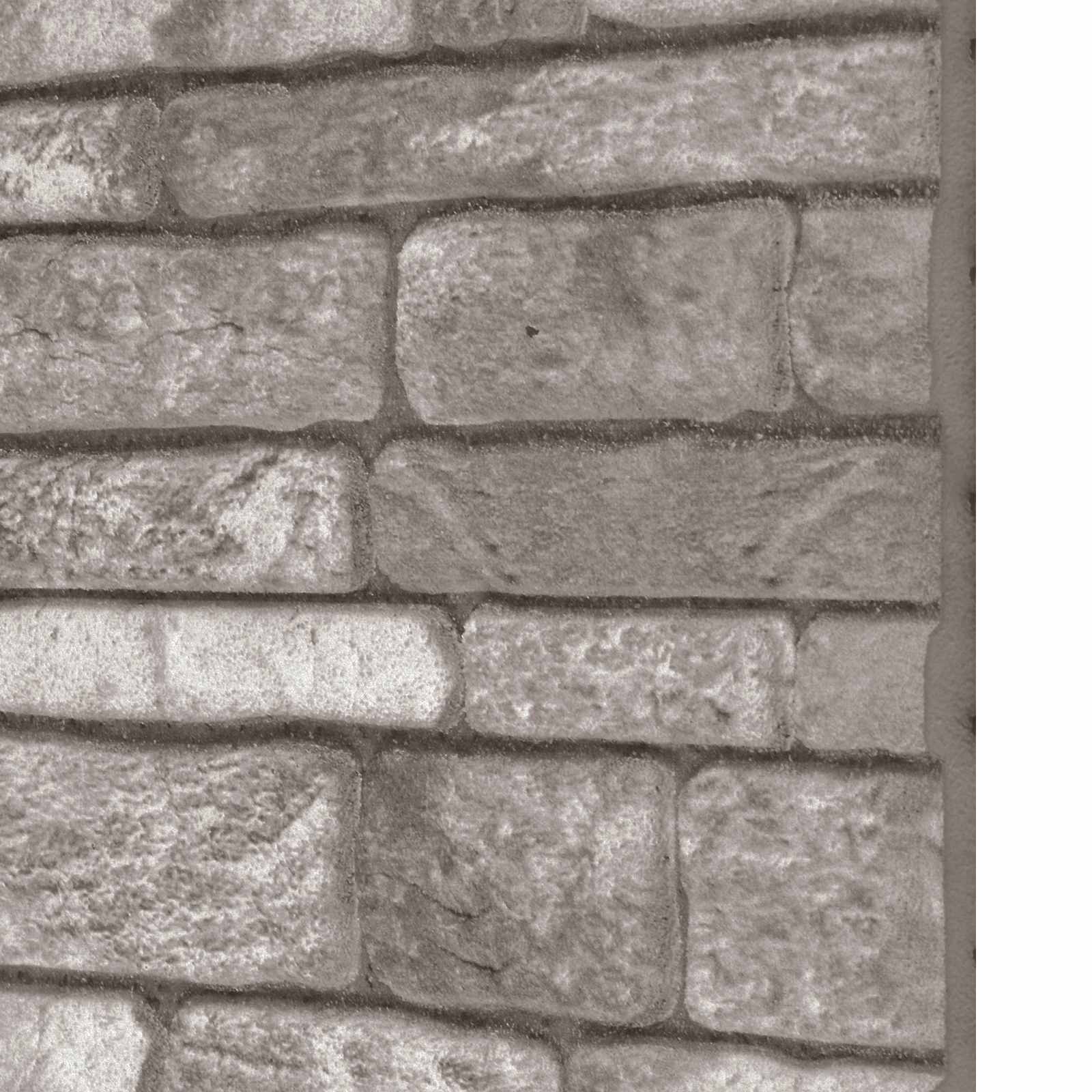Wandpaneele 10 stk. 100 x 50 cm Dunkelgrau EPS-Schaum