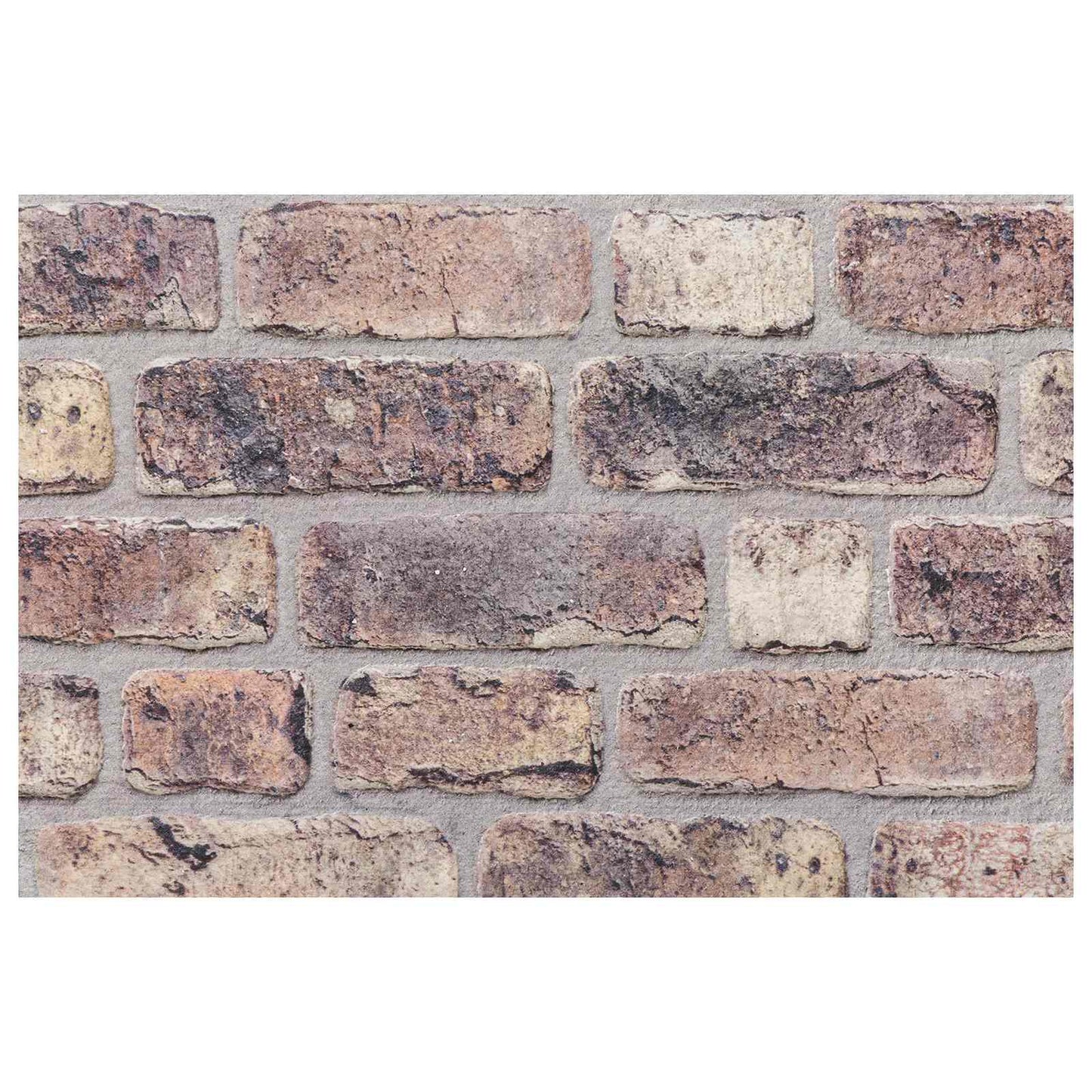 Wandpaneele 10 stk. 100 x 50 cm Dunkelbraun EPS-Schaum