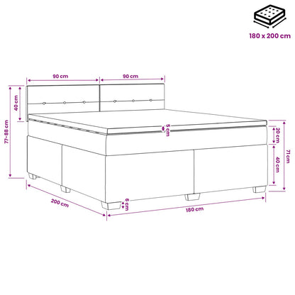 Boxspringbett mit Matratze und LED Hellgrau 180 x 200 cm Samt